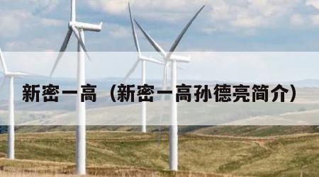 新密一高（新密一高孙德亮简介）