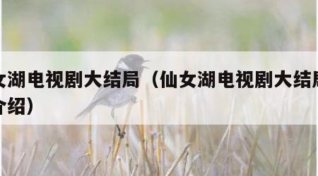 仙女湖电视剧大结局（仙女湖电视剧大结局剧情介绍）