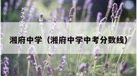 湘府中学（湘府中学中考分数线）