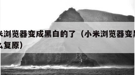 小米浏览器变成黑白的了（小米浏览器变黑色怎么复原）