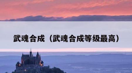 武魂合成（武魂合成等级最高）