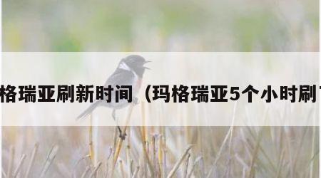 马格瑞亚刷新时间（玛格瑞亚5个小时刷了）