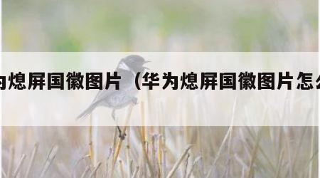 华为熄屏国徽图片（华为熄屏国徽图片怎么设置）