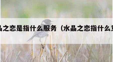 水晶之恋是指什么服务（水晶之恋指什么意思啊）