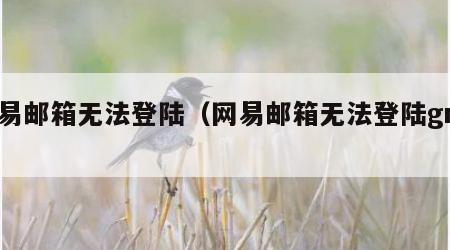 网易邮箱无法登陆（网易邮箱无法登陆gmail）