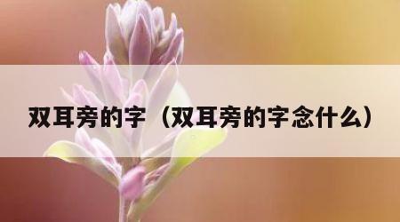 双耳旁的字（双耳旁的字念什么）