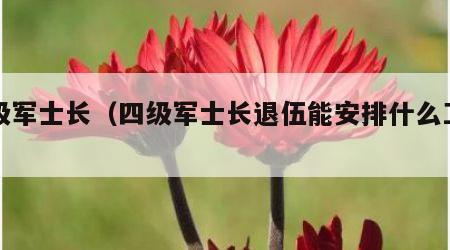 四级军士长（四级军士长退伍能安排什么工作）