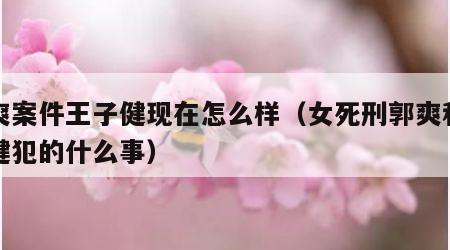 郭爽案件王子健现在怎么样（女死刑郭爽和王子健犯的什么事）