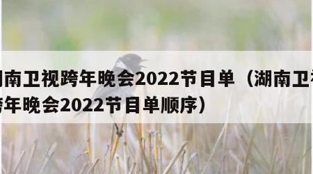 湖南卫视跨年晚会2022节目单（湖南卫视跨年晚会2022节目单顺序）