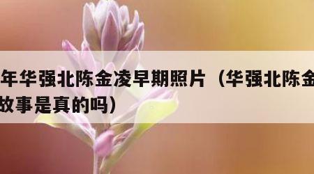 04年华强北陈金凌早期照片（华强北陈金凌的故事是真的吗）