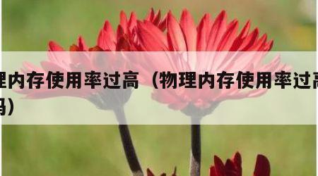 物理内存使用率过高（物理内存使用率过高会卡吗）