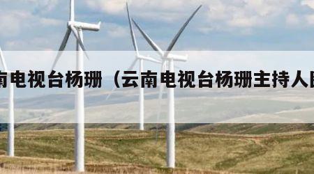 云南电视台杨珊（云南电视台杨珊主持人图片）