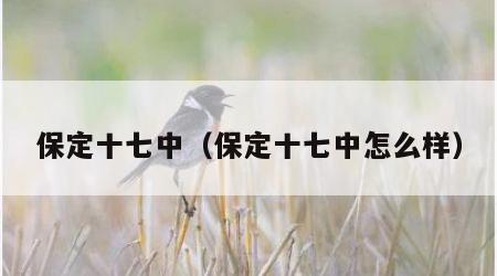 保定十七中（保定十七中怎么样）