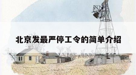 北京发最严停工令的简单介绍
