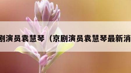 京剧演员袁慧琴（京剧演员袁慧琴最新消息）