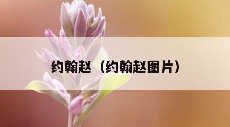 约翰赵（约翰赵图片）