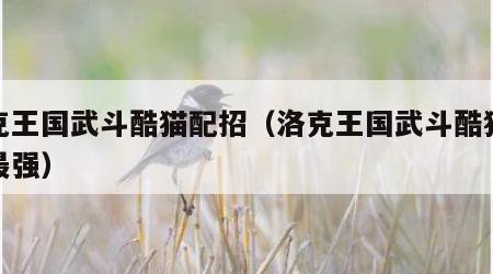 洛克王国武斗酷猫配招（洛克王国武斗酷猫配招最强）