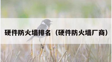 硬件防火墙排名（硬件防火墙厂商）