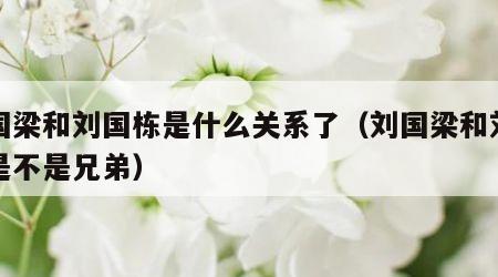 刘国梁和刘国栋是什么关系了（刘国梁和刘国栋是不是兄弟）