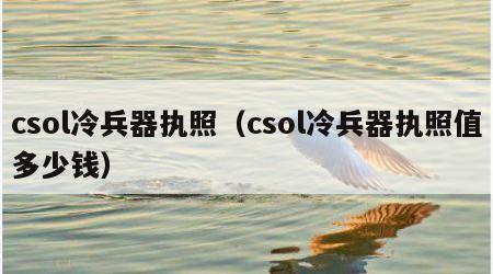 csol冷兵器执照（csol冷兵器执照值多少钱）
