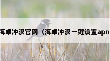 海卓冲浪官网（海卓冲浪一键设置apn）