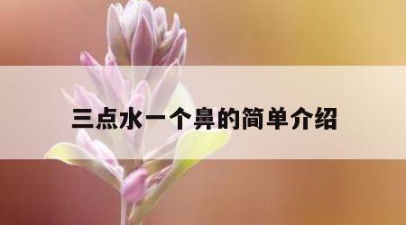 三点水一个鼻的简单介绍