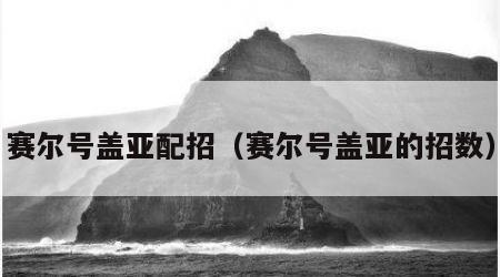 赛尔号盖亚配招（赛尔号盖亚的招数）