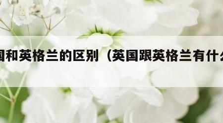 英国和英格兰的区别（英国跟英格兰有什么区别）