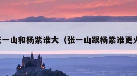 张一山和杨紫谁大（张一山跟杨紫谁更火）