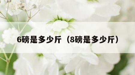 6磅是多少斤（8磅是多少斤）