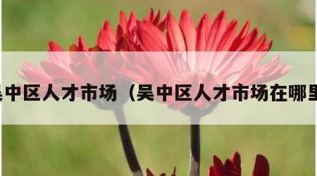 吴中区人才市场（吴中区人才市场在哪里）