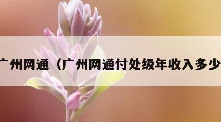 广州网通（广州网通付处级年收入多少）