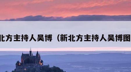 新北方主持人吴博（新北方主持人吴博图片）