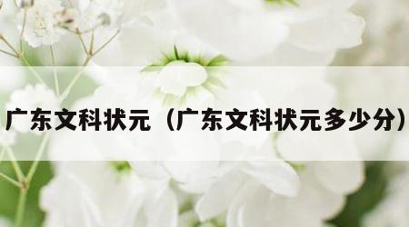 广东文科状元（广东文科状元多少分）