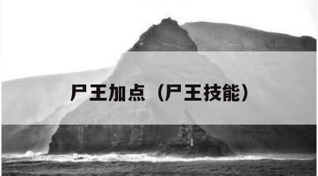 尸王加点（尸王技能）