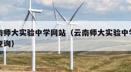 云南师大实验中学网站（云南师大实验中学网站查询）