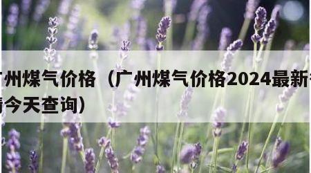 广州煤气价格（广州煤气价格2024最新行情今天查询）