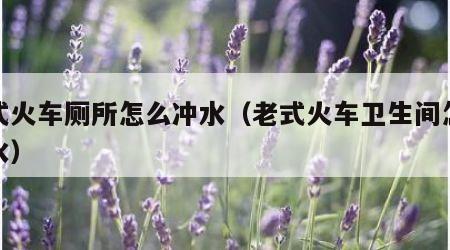 老式火车厕所怎么冲水（老式火车卫生间怎么冲水）