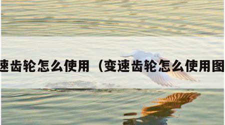 变速齿轮怎么使用（变速齿轮怎么使用图解）