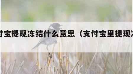 支付宝提现冻结什么意思（支付宝里提现冻结）