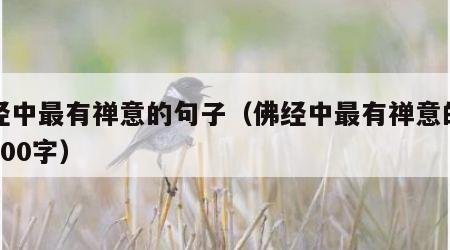 佛经中最有禅意的句子（佛经中最有禅意的句子100字）