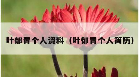 叶郁青个人资料（叶郁青个人简历）