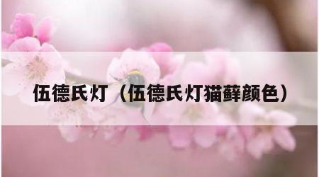 伍德氏灯（伍德氏灯猫藓颜色）