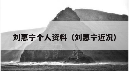 刘惠宁个人资料（刘惠宁近况）