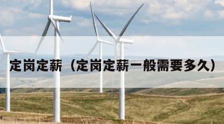 定岗定薪（定岗定薪一般需要多久）