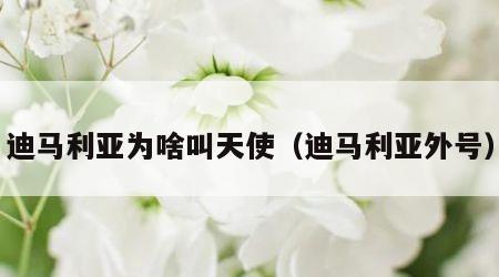 迪马利亚为啥叫天使（迪马利亚外号）