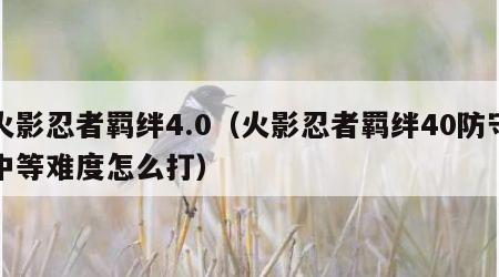 火影忍者羁绊4.0（火影忍者羁绊40防守中等难度怎么打）
