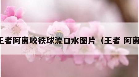王者阿离咬铁球流口水图片（王者 阿离）