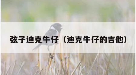 弦子迪克牛仔（迪克牛仔的吉他）