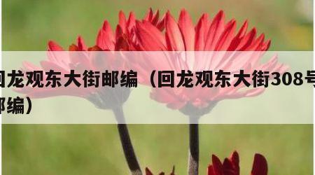 回龙观东大街邮编（回龙观东大街308号 邮编）